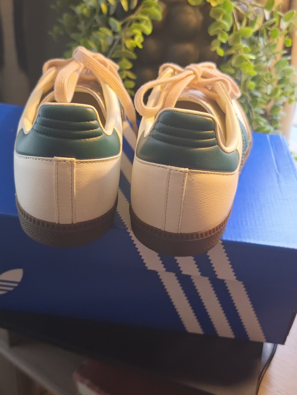Green ADIDAS Sambras - Picture 3 of 5